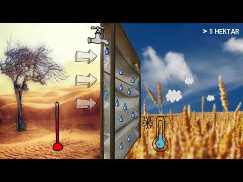 Indirekte Salzwassernutzung in der Landwirtschaft