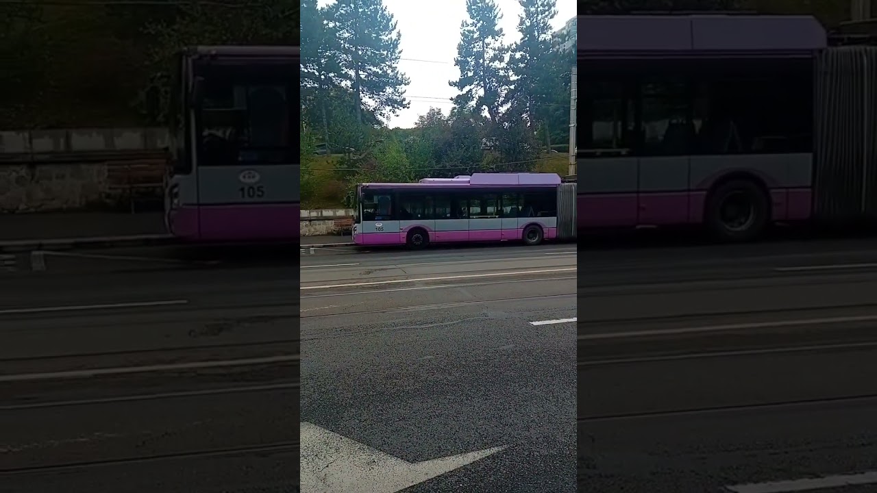 2 Trolleybuses: Solaris Trollino 18 #313 at 25, Astra Iveco Town #105 at 14