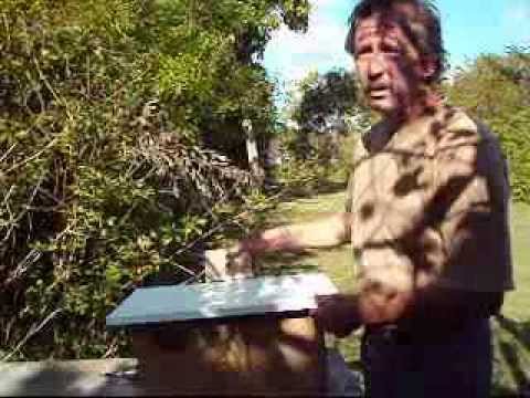 Swarm Lure Part 1 "Set the Trap" by Grant King