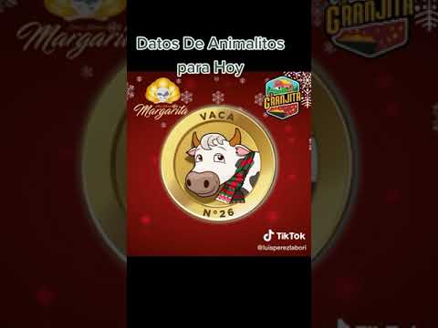 datos Lotto activo y granjita