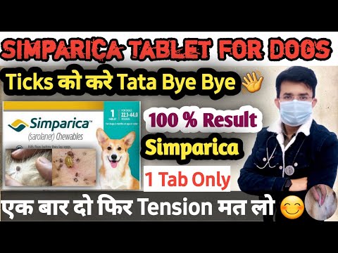 Simparica Tablet 💊 For Dogs || Ticks को करे Tata Bye Bye 👋 || Dog Ticks Removal || 100 % Result #dog