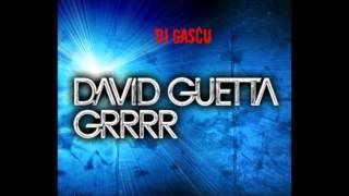David Guetta - GRRR ( Dj Gascu)