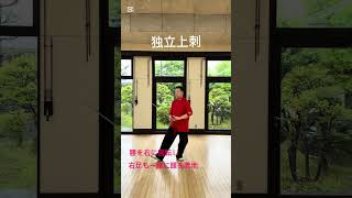孫建明#china武術 #太極拳 #太極養生 #         初心者向け