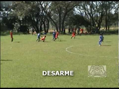 TERRA VERMELHA FUTEBOL CLUBE - PAULO CÉSAR - Volante 95