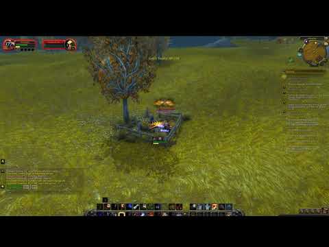 Killing the rare spawn mob Leprithus in Westfall