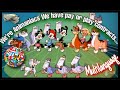 Animaniacs We Re Animaniacs We Have Pay Or Play Contracts Multilanguage