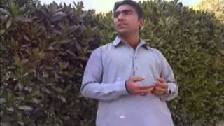 preview picture of video 'Ali Ka Darwaza by Shaikh Sarfraz'