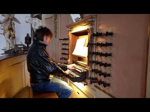 Liebster Jesu, wir sind hier BWV 731 - J. S. Bach - Treutmann organ Goslar