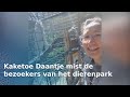 Hoe reageren dieren op de coronacrisis? | RTV Oost