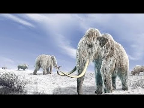 //Mammuts - Giganten der Eiszeit [DOKU NEU 2016 HD]