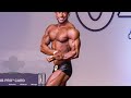 MEU PROTOCOLO (AES) OLYMPIA AMATEUR 2019