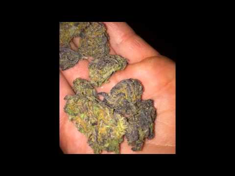 Shun P Ft. GMB Boo & Pimp G - Sack In