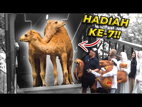 HADIAH ANNIV 7 | INI DIA KEJUTAN YANG PALING BIKIN GW TERKEJUT..!