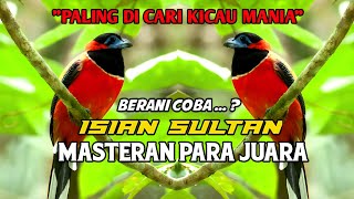 Download lagu MASTERAN BURUNG SULTAN YANG BANYAK DI CARI KICAU MANIA || MASTERAN TERBARU mp3 Download lagu MASTERAN BURUNG SULTAN YANG BANYAK DI CARI KICAU MANIA || MASTERAN TERBARU mp3