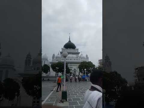 sarkar warsi-e Pak ❤️💖😍🥀