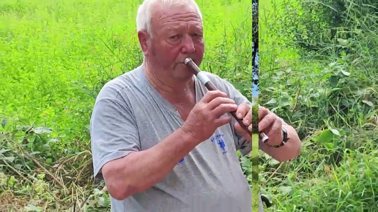 Лаутары из Халово