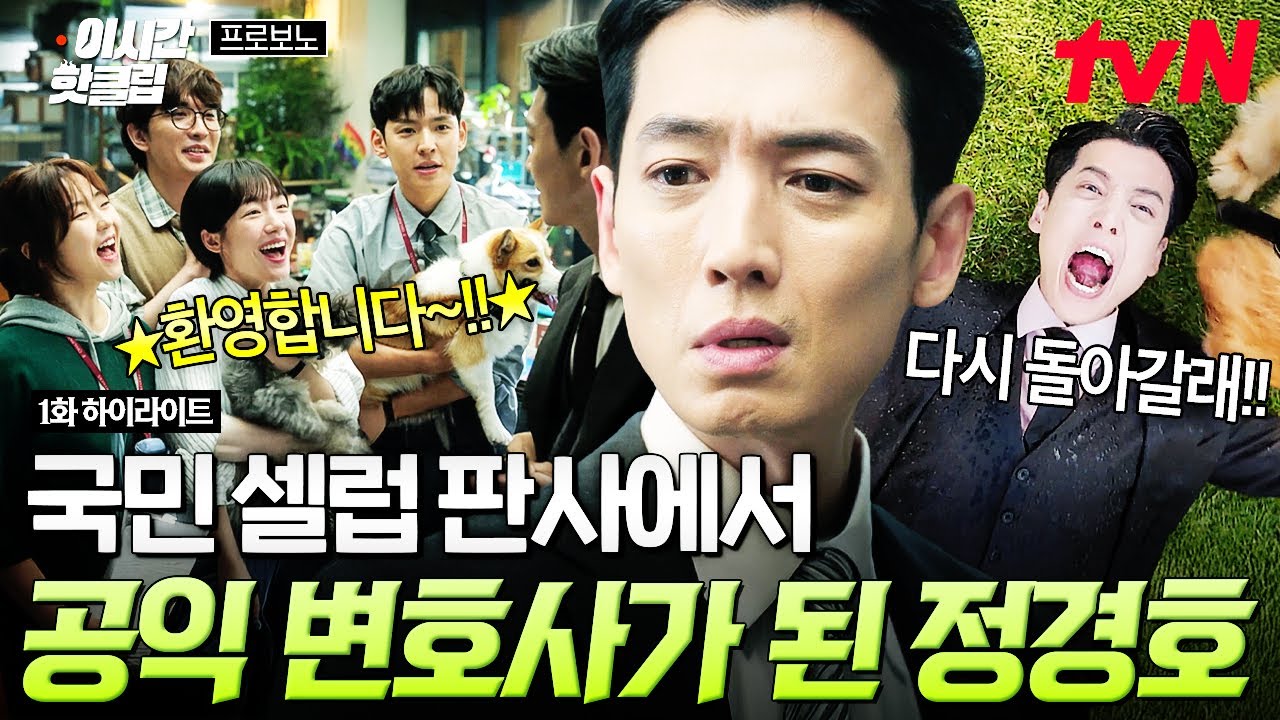 [#프로보노] 국민 셀럽 판사에서 하루아침에 공익 변호사가 되어 버림... 우당탕탕 정경호의 공익 변호사 ?