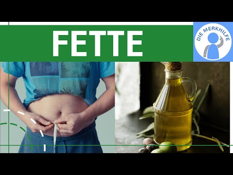 Fats explained simply - structure, types, formation, properties, differentiation & bonds