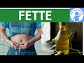 Fats Explained Simply Structure Types Formation Properties Differentiation Bonds