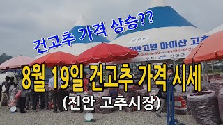 건고추 가격 상승? 건고추 가격 시세 (진안고추시장 8월 19일)