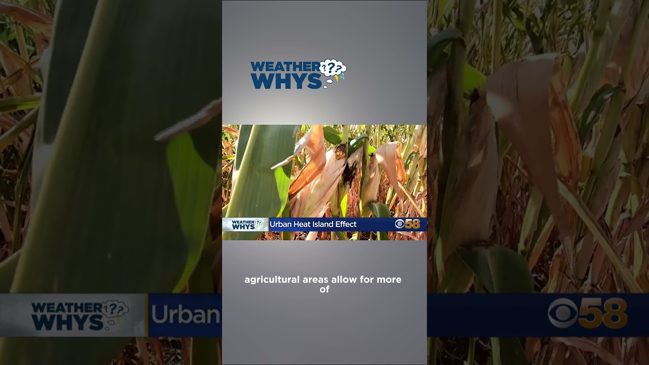 Weather Whys: Urban heat island effect