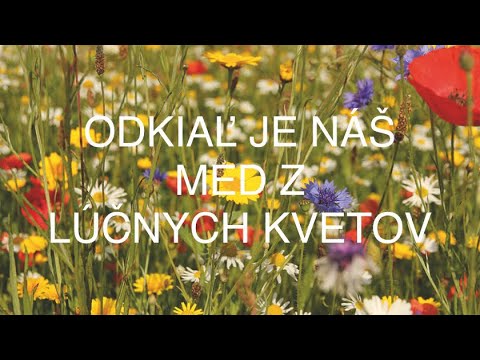 Kde opeľujú naše včely lúčne kvety