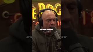 Download lagu Joe Rogan shares a crazy muslim convert story mp3
