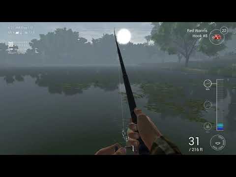 ArcoLinux : 1705 The early worm catches the fish - use arcolinux-meta-steam