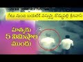 Boddupalli Srinivas Last Moments CCTV Recording Nalgonda Murder 2018 Local News Wall
