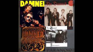 THE DAMNED - Nothing  (So Who's Paranoid)