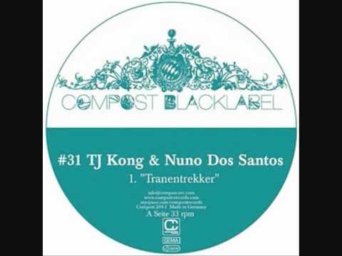 TJ Kong & Nuno Dos santos - Tranentrekker (Original Mix)