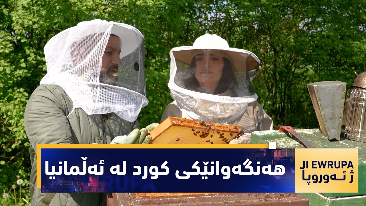 ڤیدیۆ | بەرنامەی( ژ ئەوروپا).. کوردێکی هەنگەوان بە ناوی گەیلان گەزۆ، باس لە هەنگ و جۆرەکانی هەنگوینی دەکات