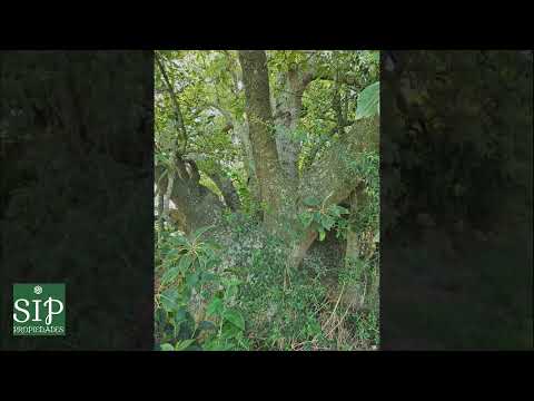 Paraje Rincon del Gigante