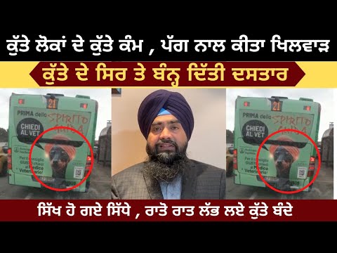 Turban tied on the dog's head | Anger in the Sikh community | SGPC Strict Notice | Viral Video Itely