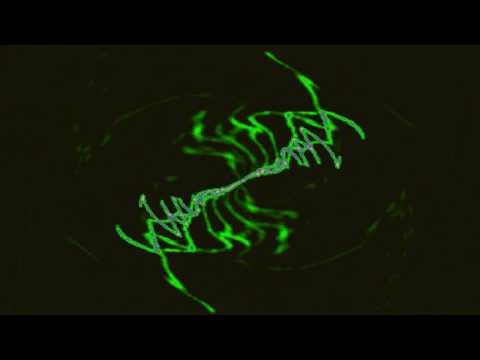 Mark Summers - Summers Magic (Original)