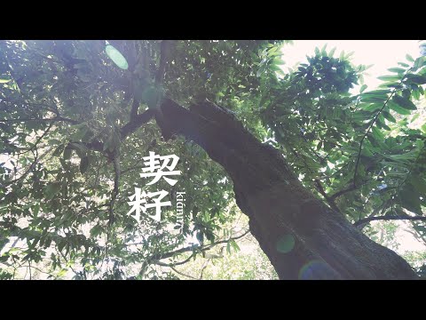 龜來吧！一起解秘龜山島的面紗成果影片_封面照片