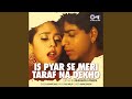 Is Pyar Se Meri Taraf Na Dekho Lofi Mix