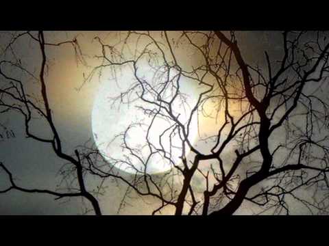 E.S Posthumus - Moonlight Sonata