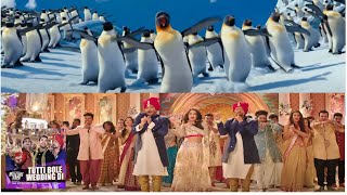 Penguins dancing for Tuti Bole wedding di bollywood song