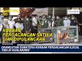Orangutan Sumatera Korban Perdagangan Ilegal Tiba di Kualanamu