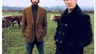 The Mountain Goats- Pink And Blue