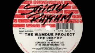 The Wamdue Project -  Remember the Memory