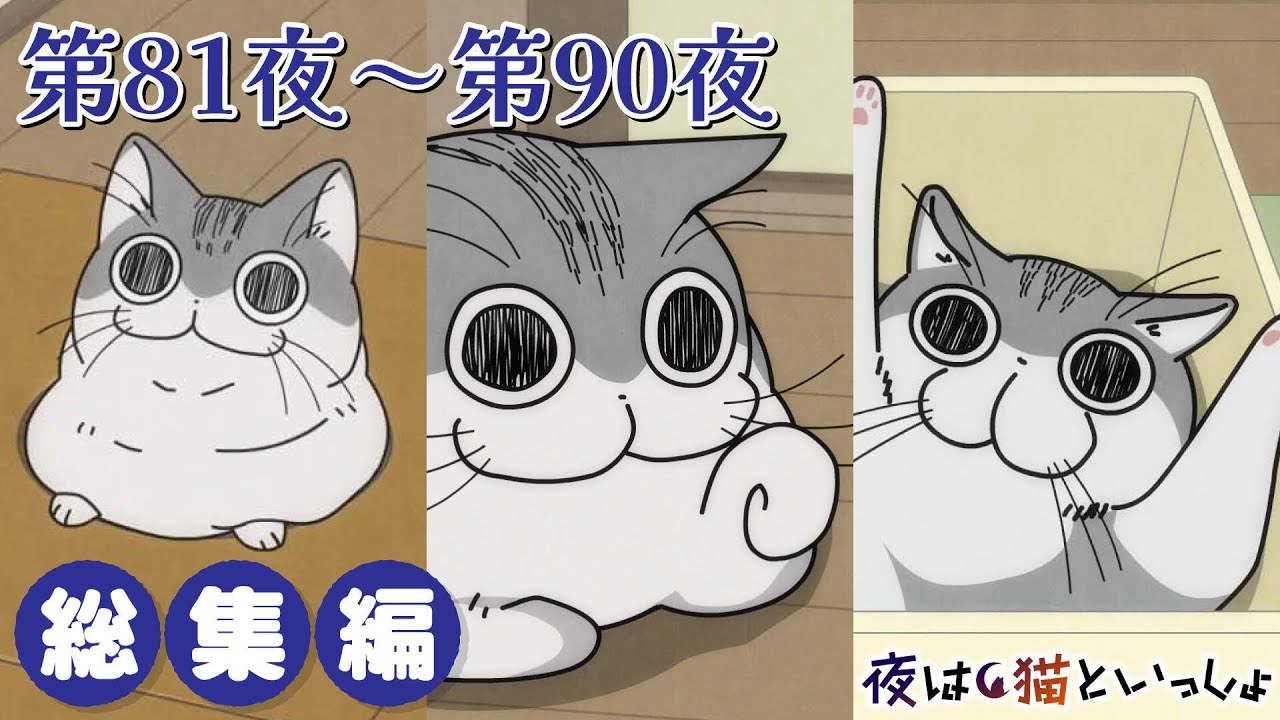 アニメ『夜は猫といっしょ』×10！【第81夜～第90夜まとめ】