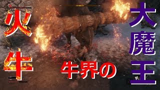 【隻狼】火牛っていう牛を僕は生まれて出会いました！part11