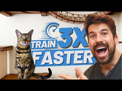 Clicker Train Your Cat Faster avoiding these 5 MISTAKES