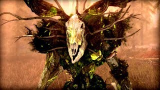 Skyrim - The Secret Power of Wood Elves You've NEVER Seen! - Elder Scrolls Lore