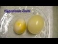 Egg Osmosis (Hypertonic vs. Hypotonic Solution ...