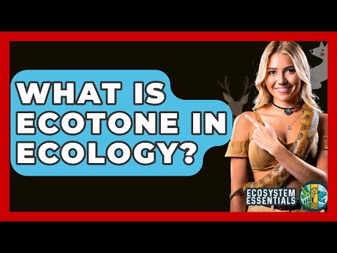 What Is Ecotone In Ecology? - Ecosystem Essentials