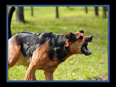 Johnny PotatoHead - Vicious (Mix 1 - Track A1 - with Images)