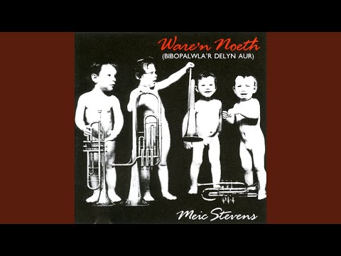 Bibopalwla'R Delyn Aur